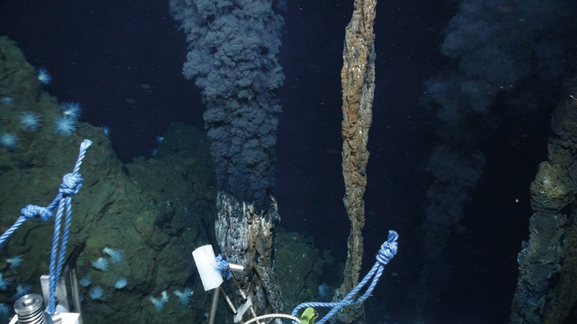 A marine rock sample store - GEOSCIENTIST