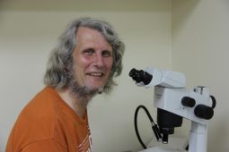 Brent Wilson (1959 – 2024)