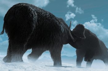 From mammoths to Worms