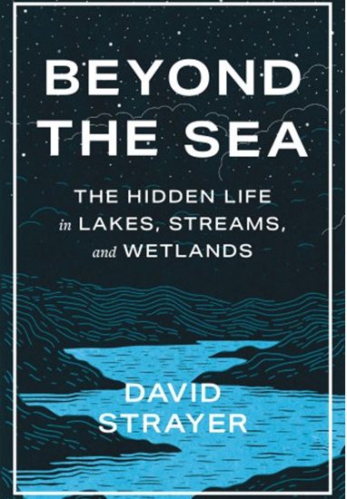 Book cover showing an illustrated landscape in black with a bold blue river running through.