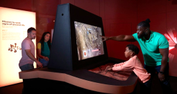 Space: Could Life Exist Beyond Earth?