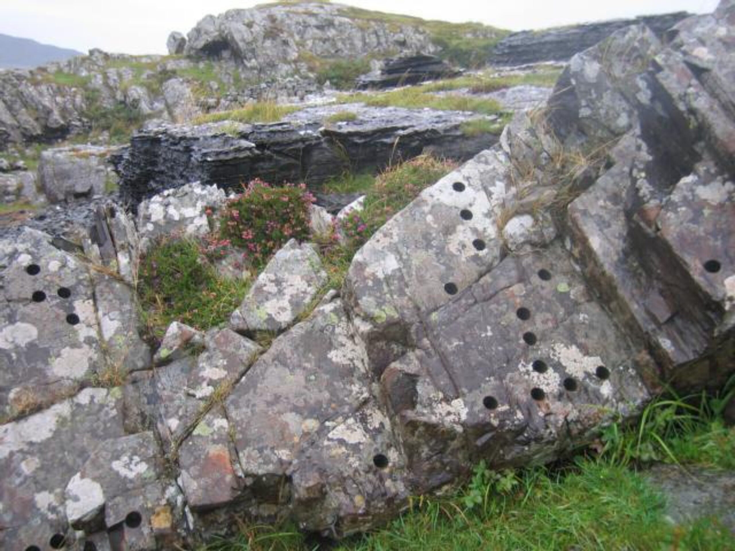 Large holes cored out of rock lying in situ in the landscape