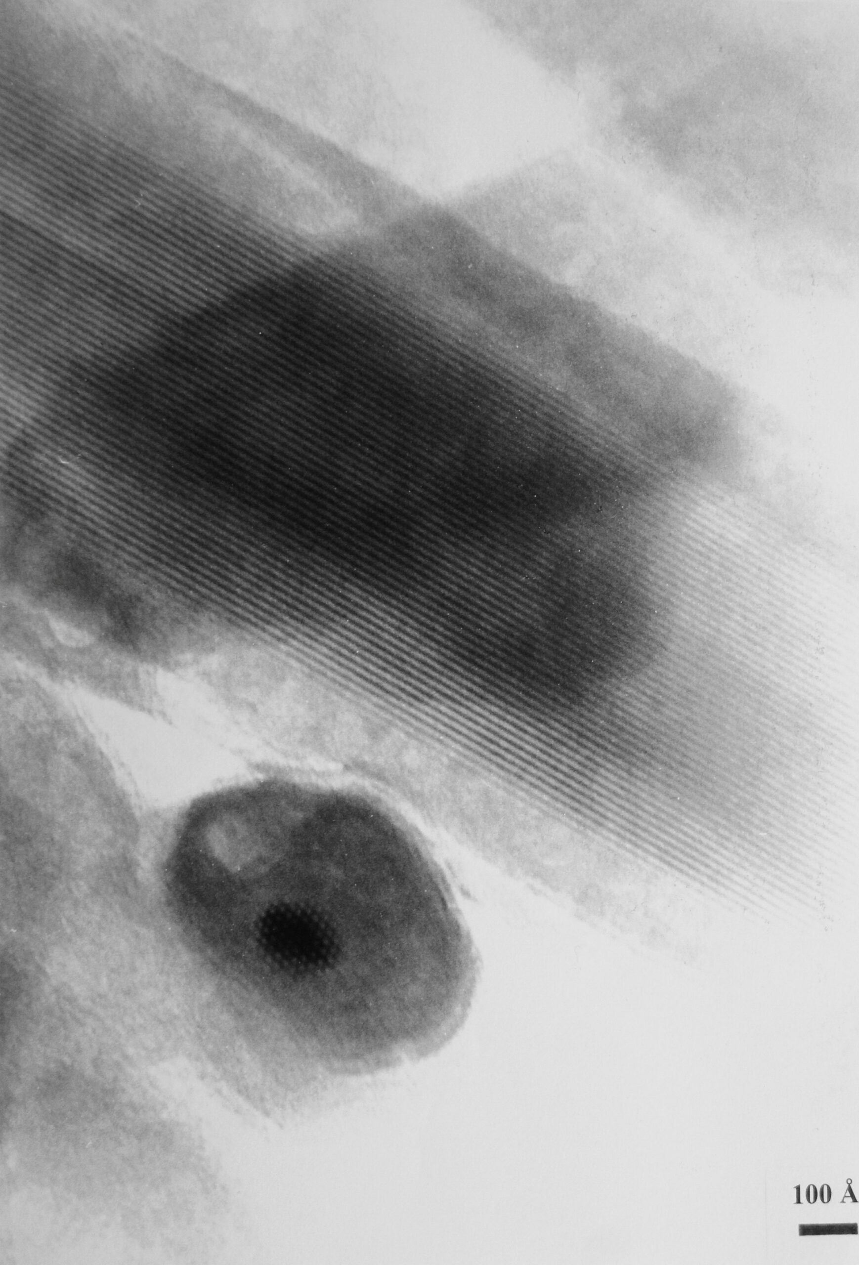 A grainy black and white image of a mineral taken using an electron microscope