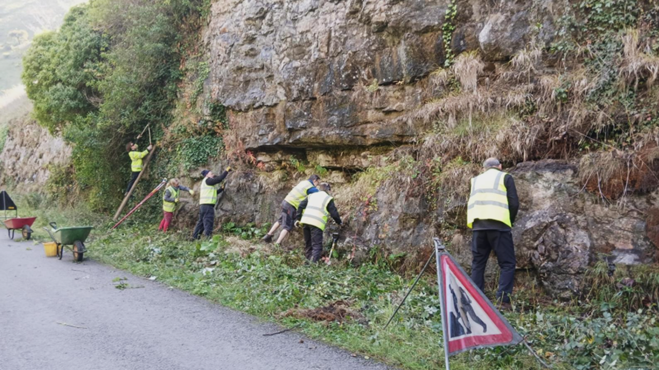 Volunteers clear vegetation off limestone exposures along the Monsal Trail, Peak District National Park.